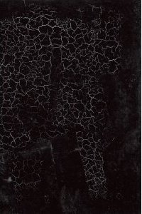 51yGf9j1EbL._SL500_AA300_